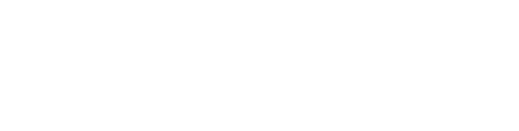 SV-HOSTING